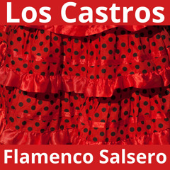 Flamenco Salsero