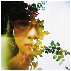 neonaries vol 2. (neonmaid + friends)