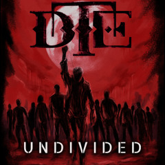 Despite The End - Undivided (live intro)