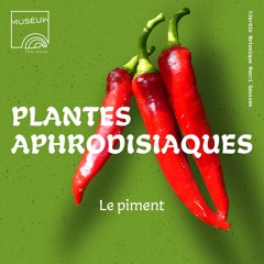 #03 - Le piment - Série Les plantes aphrodisiaques