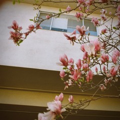 .the plant growing song.