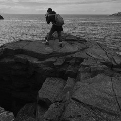 Artists' Voices: Life in a Pandemic