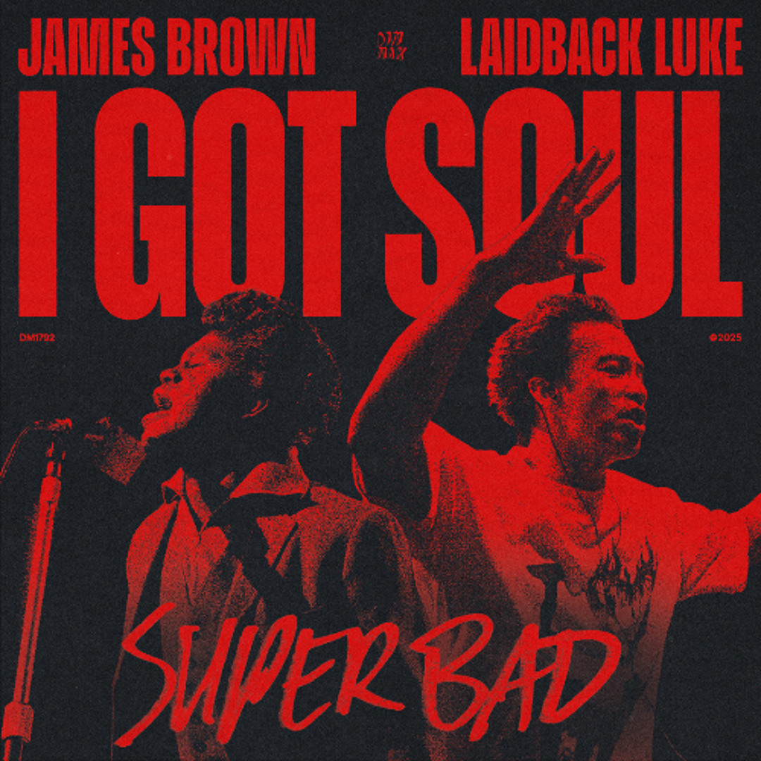 Stream James Brown & Laidback Luke - 