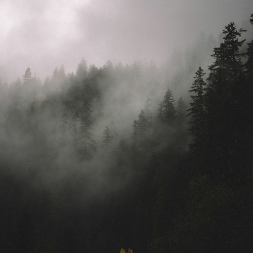 Thoughts (Original Mix)