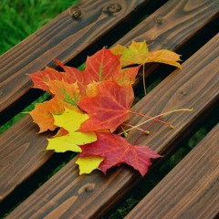 KIZOMBA ALEGRIA/ Hello autumn