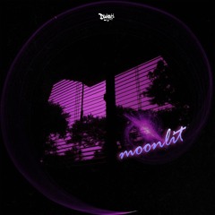 Duckem - Moonlit