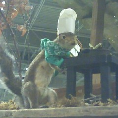 killswitch p guda, fxckyeahako