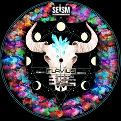 Flavius - Experimentand (Original Mix)_128kbs_Preview[sei031]