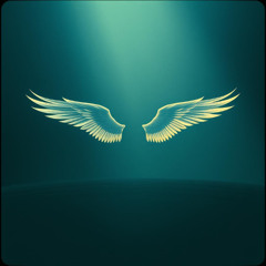 Soldiers Like Angels