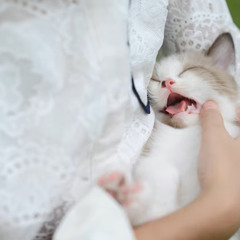 Nine Lives - Crispy (Freestyle)