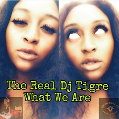 What We Are