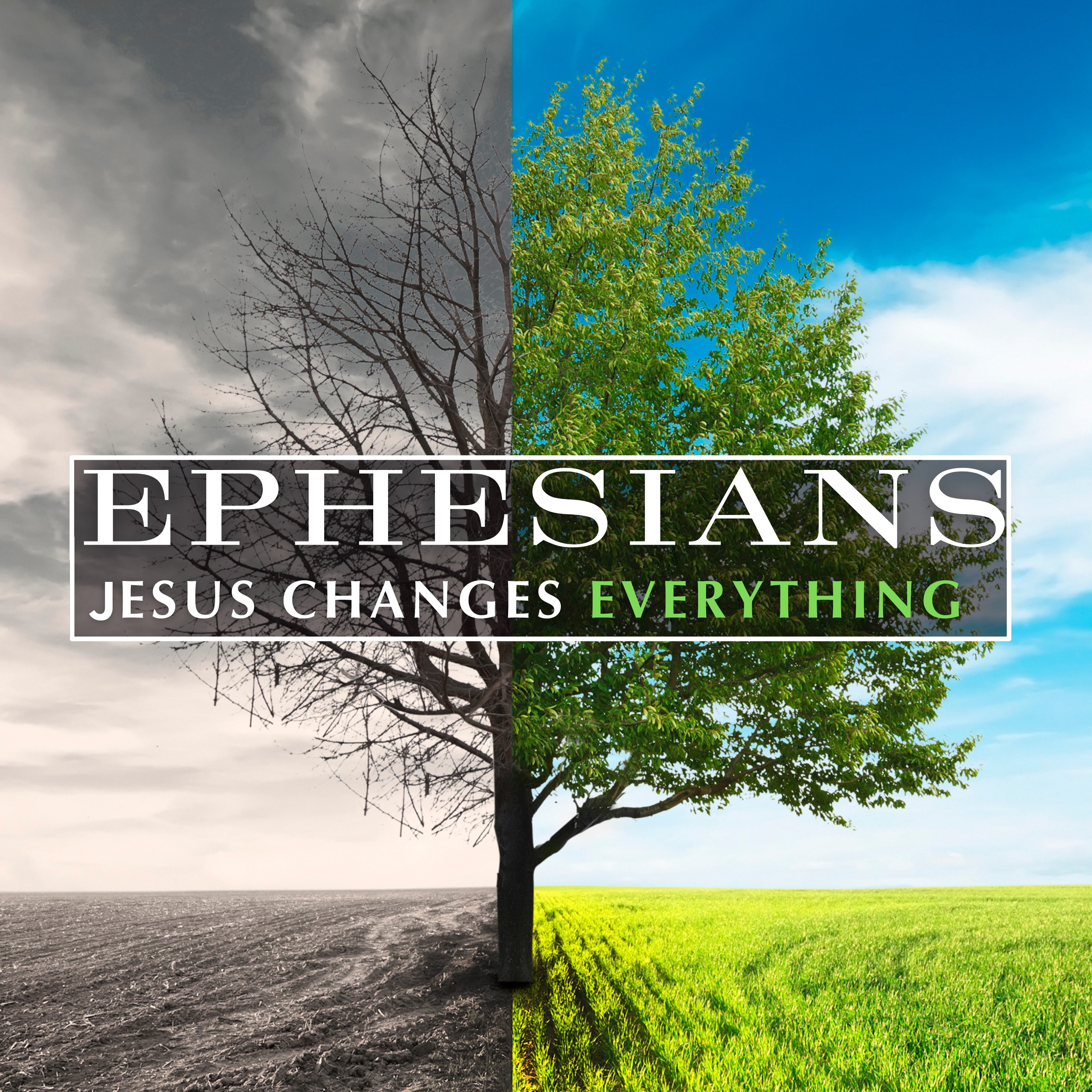 "Jesus Changes Our Identity (Eph 1:1-6)", Will DuVal | 9/1/24 episode artwork