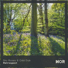 Sky Roses & Odd Dub - Retrospect