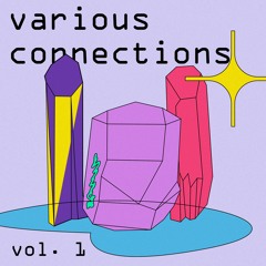 Various Connections vol.1