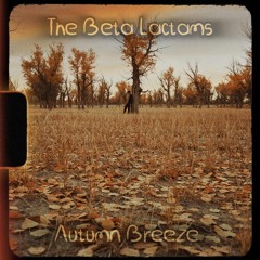 Autumn Breeze