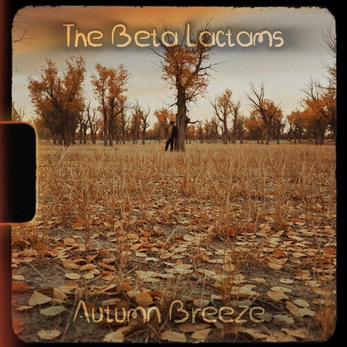 Autumn Breeze