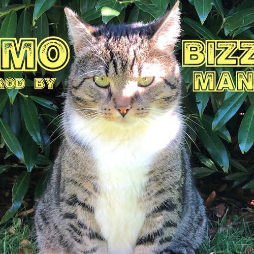 Vmo Bizzy Prod By Manic
