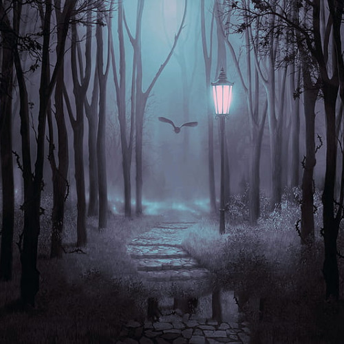 Join Me in Death by Shadow