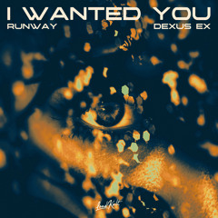 I Wanted You