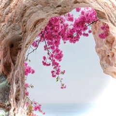 A Beautiful Place