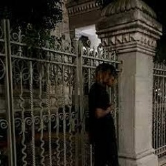 In the Mist (2023 leak)