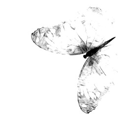 nvrmindd ~ feel [5kjordn]