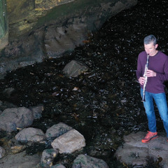 Sounding migrations: Deep listening and the acoustic phenology of whale song