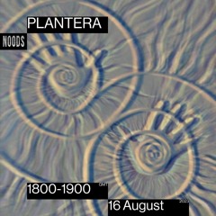 Noods Radio - Plantera - 16.08.23