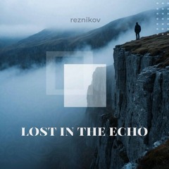 Lost in the Echo