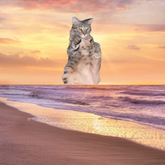 WICKED GAME - CHRIS ISAAK (wvltr flip)