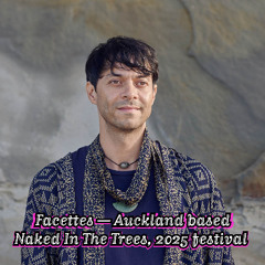 Facettes @ Naked In The Trees, 2025 festival