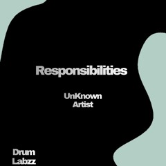 UnKnown Artist - Responsibilities