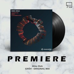 PREMIERE: Mike Rish - Gröv (Original Mix) [MEANWHILE RECORDINGS]