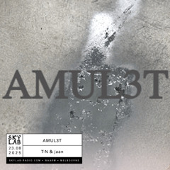AMUL3T Ep. 9 w/ jaan - Skylab Radio