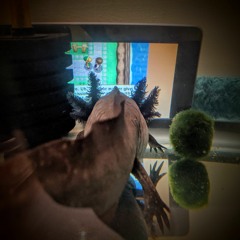 Chemical Plant Zone (Sonic)