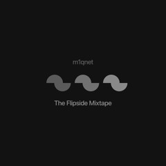 Futurama Theme (m1qnet Flip)