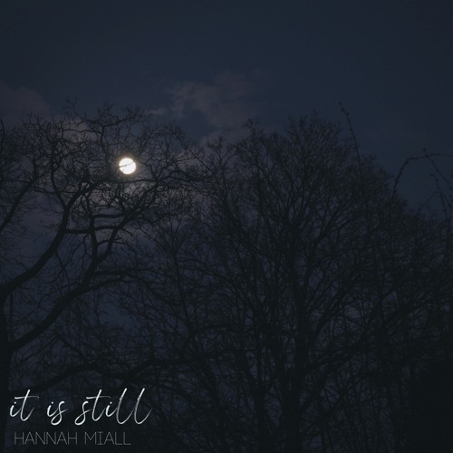 It Is Still (Night)