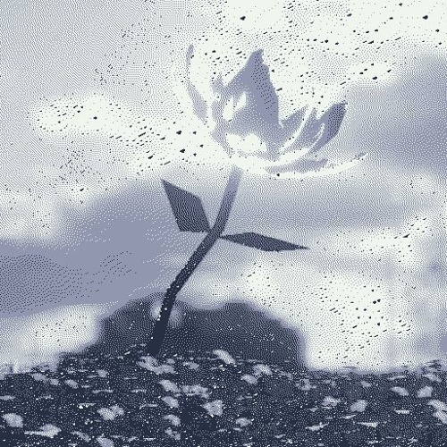 GRAY FLOWER [PLTNZ G/E CONTEST WINNER]