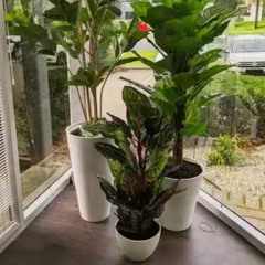 How To Pot Artificial Plants To Make Them More Realistic