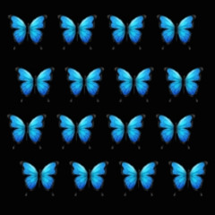 special_kind_of_blue