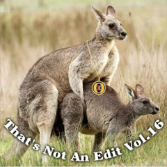 That's Not An Edit Vol.16 - Mixed By Galleon