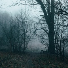 murda killa - осложнения от нейролептиков ( slowed and reverb )