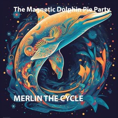 The Magnetic Dolphin Pie Party