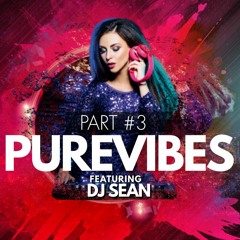PURE VIBES PT 3- DJ SEAN ROCKING YOU