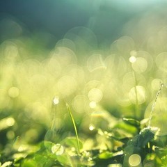 Schubert Impromptus Op.90-4, D.899-4  シューベルト 即興曲