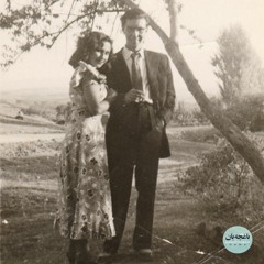 درخت سرو بودم