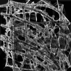 Shadows In The Center