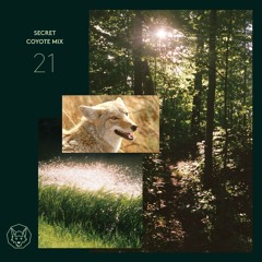 Secret Coyote Mix // 21