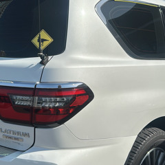 “Lessons over losses”